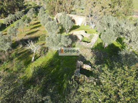 Quinta T2 Venda em Santa Cruz,Almodôvar