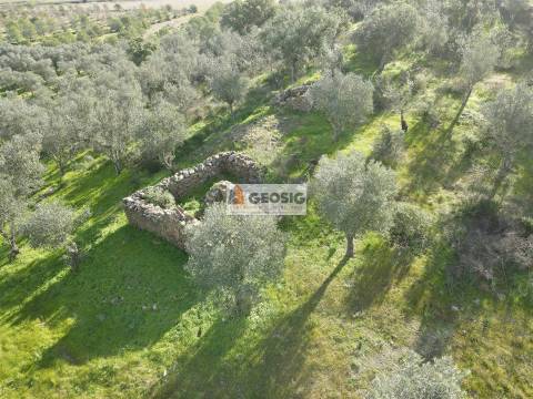 Quinta T2 Venda em Santa Cruz,Almodôvar