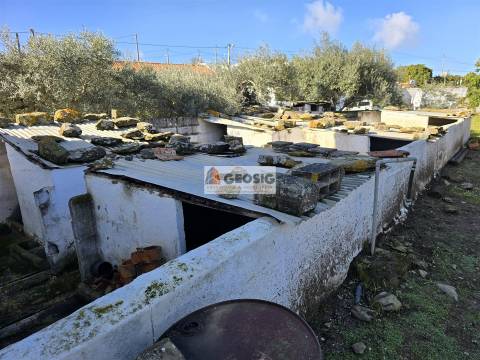 Moradia T1 Venda em Espírito Santo,Mértola