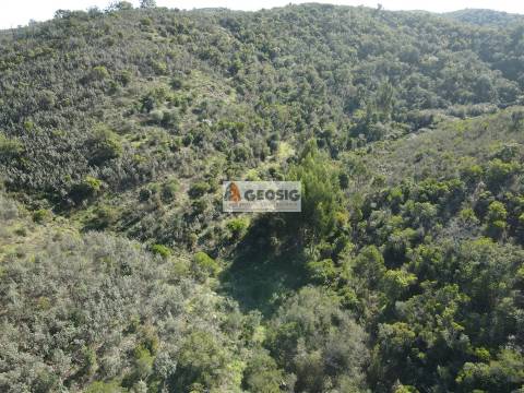 Terreno Rústico  Venda em São Barnabé,Almodôvar