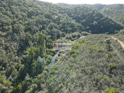 Terreno Rústico  Venda em São Barnabé,Almodôvar