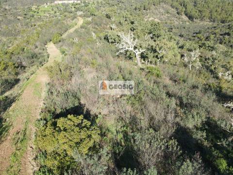 Terreno Rústico  Venda em São Barnabé,Almodôvar