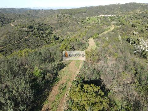 Terreno Rústico  Venda em São Barnabé,Almodôvar