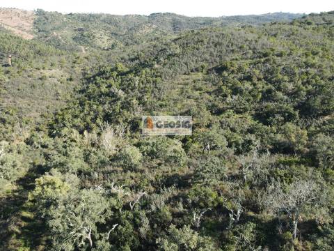 Terreno Rústico  Venda em São Barnabé,Almodôvar