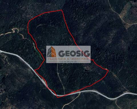 Terreno Rústico  Venda em São Barnabé,Almodôvar