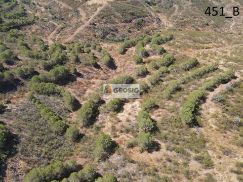 Terreno Rústico  Venda em Vaqueiros,Alcoutim