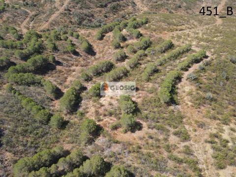 Terreno Rústico  Venda em Vaqueiros,Alcoutim