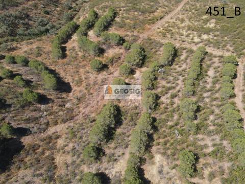 Terreno Rústico  Venda em Vaqueiros,Alcoutim