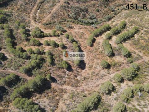 Terreno Rústico  Venda em Vaqueiros,Alcoutim