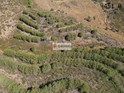 Terreno Rústico  Venda em Vaqueiros,Alcoutim