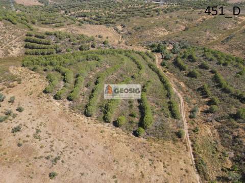 Terreno Rústico  Venda em Vaqueiros,Alcoutim