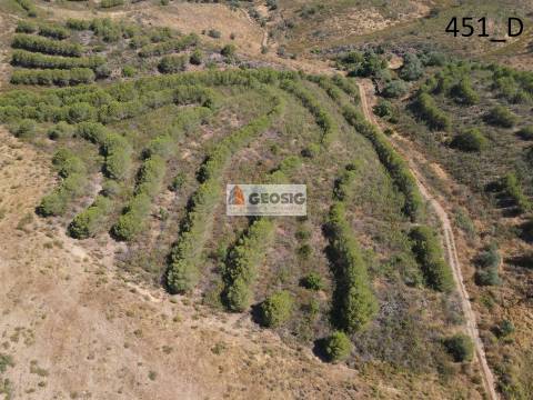 Terreno Rústico  Venda em Vaqueiros,Alcoutim