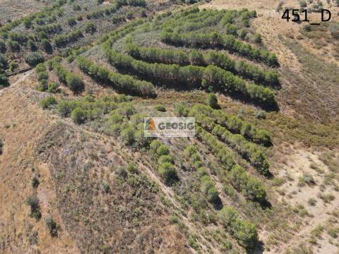 Terreno Rústico  Venda em Vaqueiros,Alcoutim