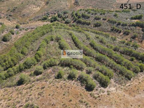 Terreno Rústico  Venda em Vaqueiros,Alcoutim