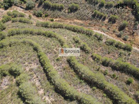 Terreno Rústico  Venda em Vaqueiros,Alcoutim