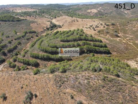 Terreno Rústico  Venda em Vaqueiros,Alcoutim