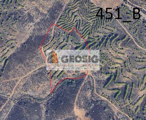 Terreno Rústico  Venda em Vaqueiros,Alcoutim