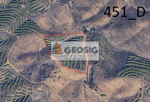 Terreno Rústico  Venda em Vaqueiros,Alcoutim