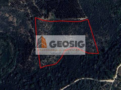 Terreno Rústico  Venda em São Barnabé,Almodôvar