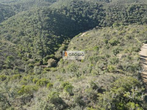 Terreno Rústico  Venda em São Barnabé,Almodôvar