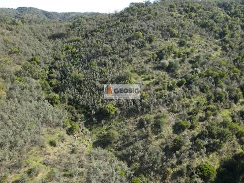 Terreno Rústico  Venda em São Barnabé,Almodôvar