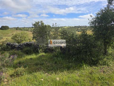 Quintinha T1 Venda em Almodôvar e Graça dos Padrões,Almodôvar