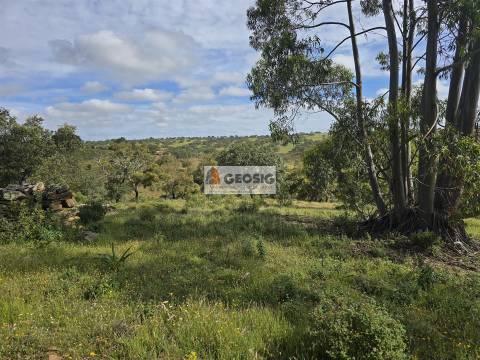 Quintinha T1 Venda em Almodôvar e Graça dos Padrões,Almodôvar