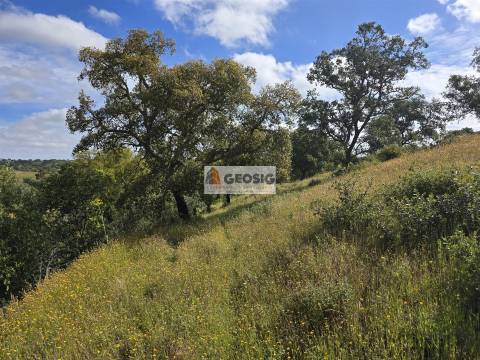 Quintinha T1 Venda em Almodôvar e Graça dos Padrões,Almodôvar