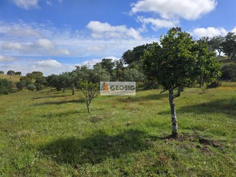 Quintinha T1 Venda em Almodôvar e Graça dos Padrões,Almodôvar