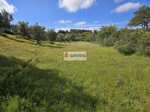 Quintinha T1 Venda em Almodôvar e Graça dos Padrões,Almodôvar