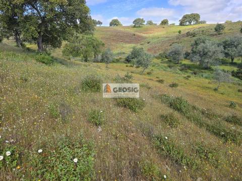Quintinha T1 Venda em Almodôvar e Graça dos Padrões,Almodôvar