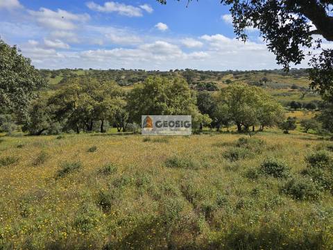 Quintinha T1 Venda em Almodôvar e Graça dos Padrões,Almodôvar