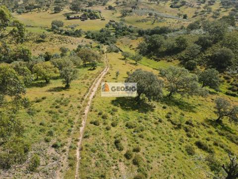 Quintinha T1 Venda em Almodôvar e Graça dos Padrões,Almodôvar