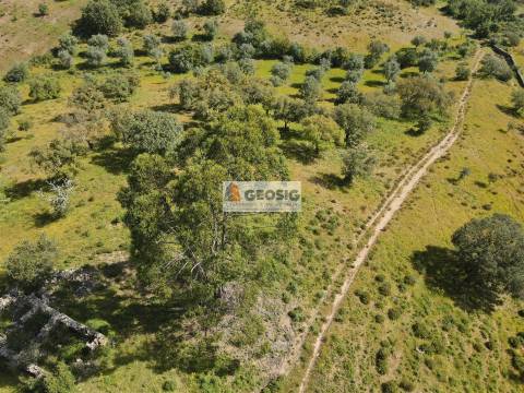 Quintinha T1 Venda em Almodôvar e Graça dos Padrões,Almodôvar