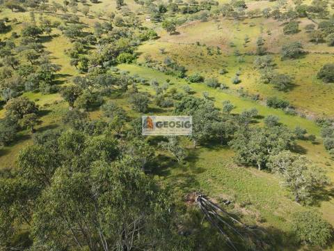 Quintinha T1 Venda em Almodôvar e Graça dos Padrões,Almodôvar