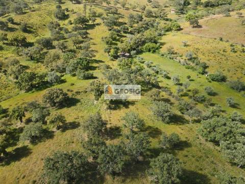 Quintinha T1 Venda em Almodôvar e Graça dos Padrões,Almodôvar