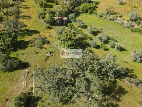 Quintinha T1 Venda em Almodôvar e Graça dos Padrões,Almodôvar