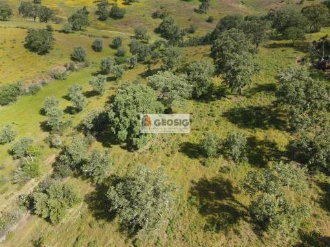 Quintinha T1 Venda em Almodôvar e Graça dos Padrões,Almodôvar