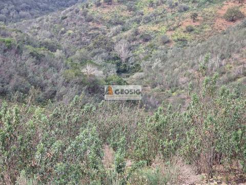 Terreno Rústico  Venda em Santana da Serra,Ourique