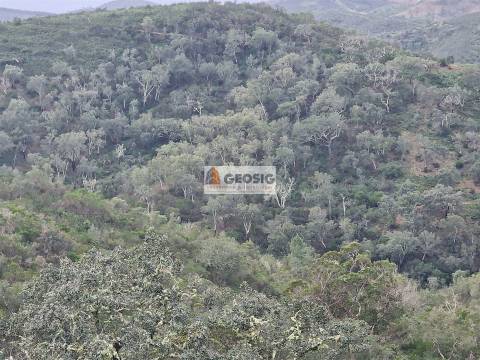 Terreno Rústico  Venda em Santana da Serra,Ourique