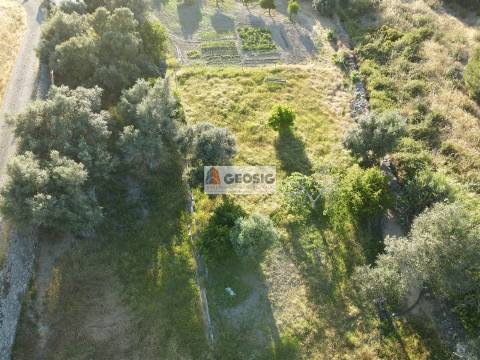 Quintinha T1 Venda em São Miguel do Pinheiro, São Pedro de Solis e São Sebastião dos Carros,Mértola