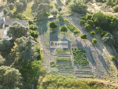 Quintinha T1 Venda em São Miguel do Pinheiro, São Pedro de Solis e São Sebastião dos Carros,Mértola