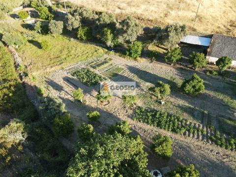 Quintinha T1 Venda em São Miguel do Pinheiro, São Pedro de Solis e São Sebastião dos Carros,Mértola
