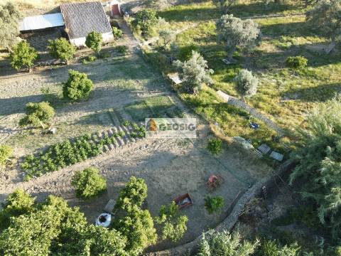Quintinha T1 Venda em São Miguel do Pinheiro, São Pedro de Solis e São Sebastião dos Carros,Mértola