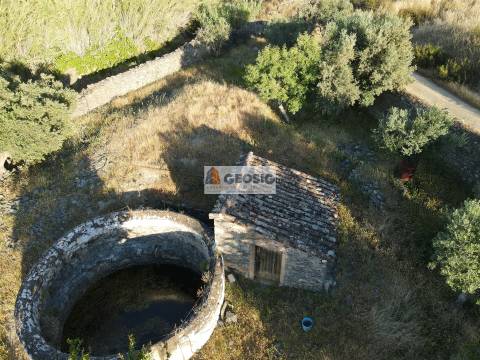 Quintinha T1 Venda em São Miguel do Pinheiro, São Pedro de Solis e São Sebastião dos Carros,Mértola