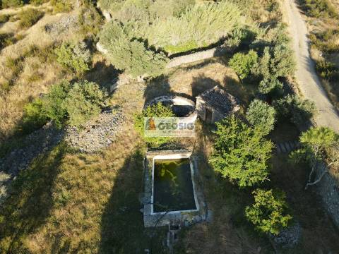 Quintinha T1 Venda em São Miguel do Pinheiro, São Pedro de Solis e São Sebastião dos Carros,Mértola