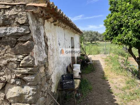 Quintinha T1 Venda em São Miguel do Pinheiro, São Pedro de Solis e São Sebastião dos Carros,Mértola