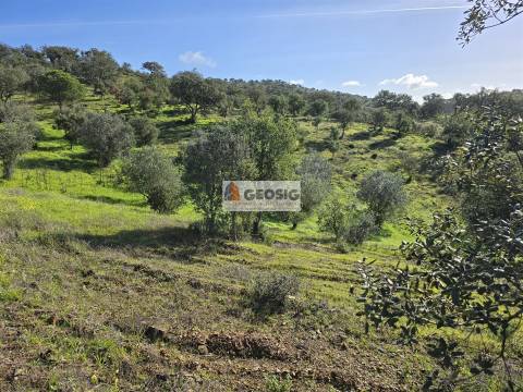Quintinha T2+1 Venda em Santa Clara-a-Nova e Gomes Aires,Almodôvar