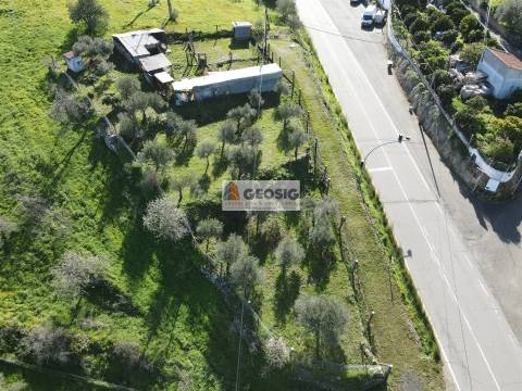 Terreno  Venda em Espírito Santo,Mértola