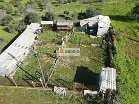 Terreno  Venda em Espírito Santo,Mértola